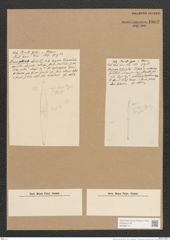 Stauroneis vibrio (de-Toni-Nr.: Genus 6, Species 921 ?) Zeichnungen Sammlung Grunow Nr. 1802 (NHMW-BOT-W0368713)